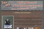 WOLTERS NATUURSTEEN